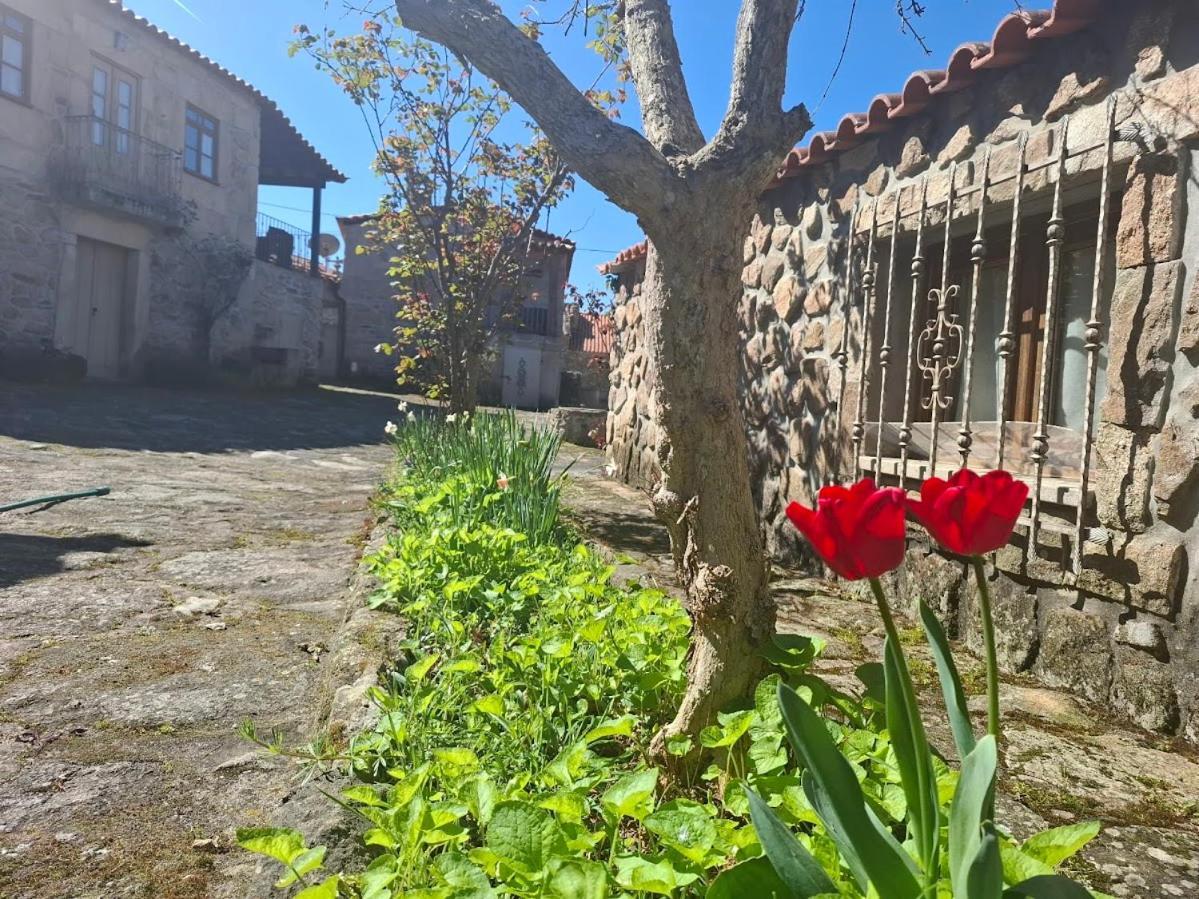 Casas Do Juizo - Country Houses Екстериор снимка