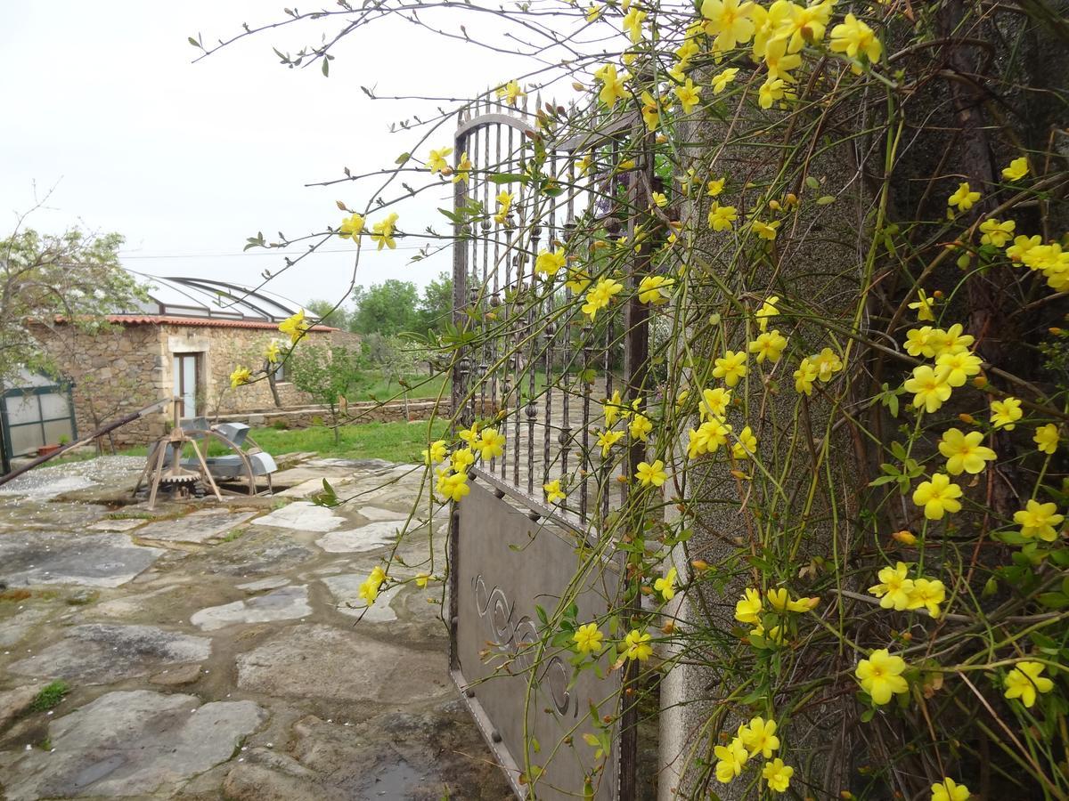 Casas Do Juizo - Country Houses Екстериор снимка